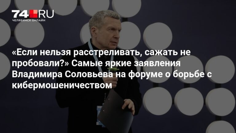 Соловьев предложил жесткие меры борьбы с кибермошенниками