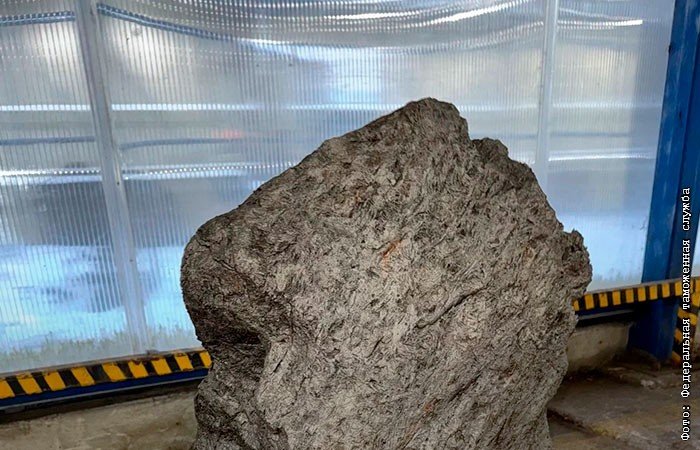 Таможня РФ не позволила вывезти осколок метеорита Алетай весом 2,5 т