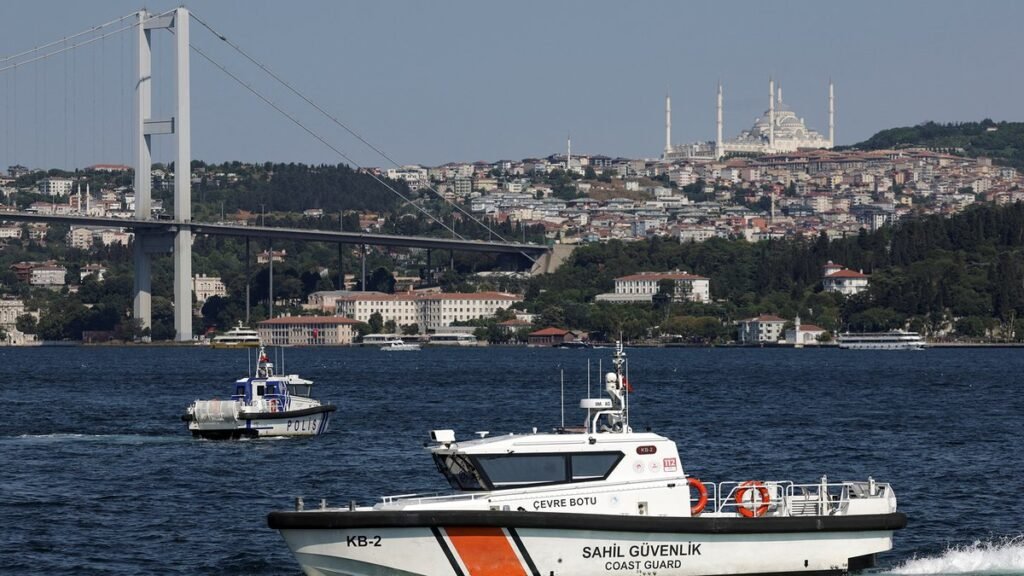 Турция отозвала лицензию у популярной платежной системы для туристов