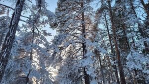 В Бурятии ожидаются морозы до -43 градусов