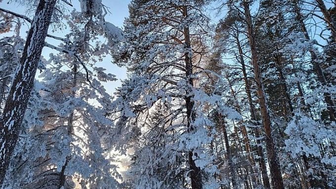 В Бурятии ожидаются морозы до -43 градусов