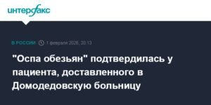 В Домодедовской больнице подтвердили случай оспы обезьян