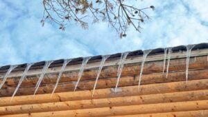 В Подмосковье возвращаются морозы: самый холодный день недели