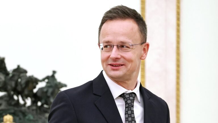 В Венгрии осудили жесткую мобилизацию на Украине