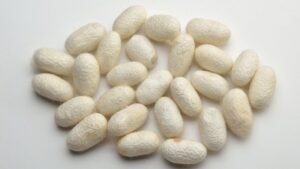 Витамин B3 и ген продолжительности жизни: новые данные о старении тутового шелкопряда