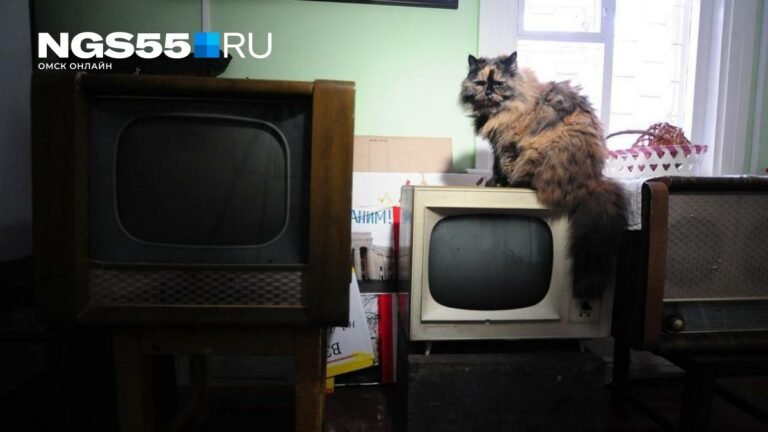 Жители Омской области столкнутся с перебоями в телевещании