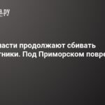Атаки беспилотников на Ленобласть: повреждена ЛЭП и ограничения в Пулково