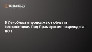 Атаки беспилотников на Ленобласть: повреждена ЛЭП и ограничения в Пулково