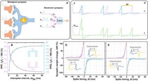 Британские ученые совершили прорыв в аналоговой памяти