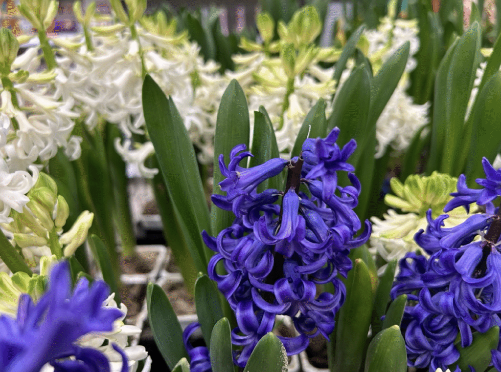 Что интересного в Санкт-Петербурге 21 и 22 марта 2026 - афиша событий