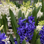 Что интересного в Санкт-Петербурге 21 и 22 марта 2026 - афиша событий