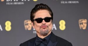 Дочь Бенисио Дель Торо дебютировала на красной дорожке