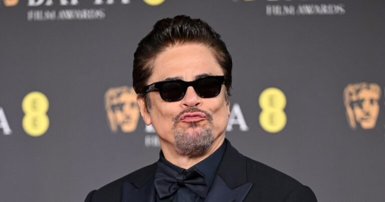 Дочь Бенисио Дель Торо дебютировала на красной дорожке