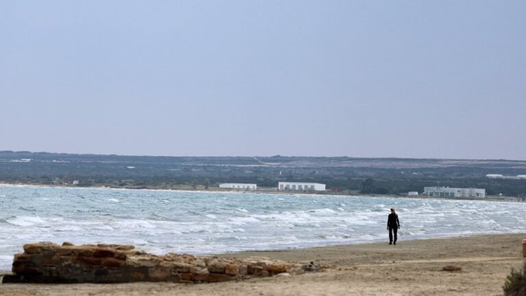 Группу «Каспийский груз» задержали на Кипре из-за виз
