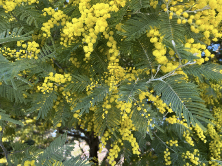 Интересные события в Санкт-Петербурге с 6 по 9 марта 2026