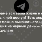 Как скачать все данные из Telegram перед блокировкой