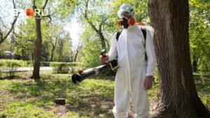 Как защититься от энцефалита: четыре关键овых шага