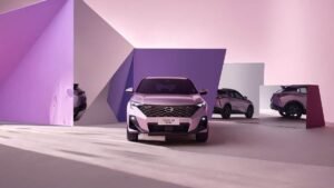 Китайские автомобили исчезают с российского рынка