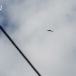 Массовая атака беспилотников на Россию: 283 дрона сбиты за ночь