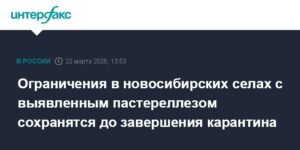 Ограничения в новосибирских селах с пастереллезом сохранятся до снятия карантина