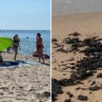 Относительно чистые пляжи Анапы: где можно купаться без риска для здоровья