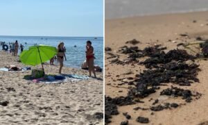 Относительно чистые пляжи Анапы: где можно купаться без риска для здоровья