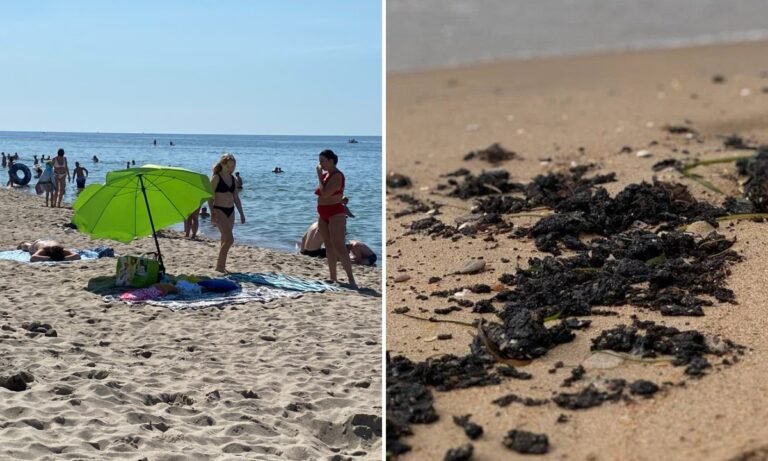 Относительно чистые пляжи Анапы: где можно купаться без риска для здоровья