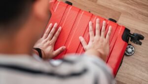 Подмосковье готовится к половодью: как подготовиться к экстренной ситуации