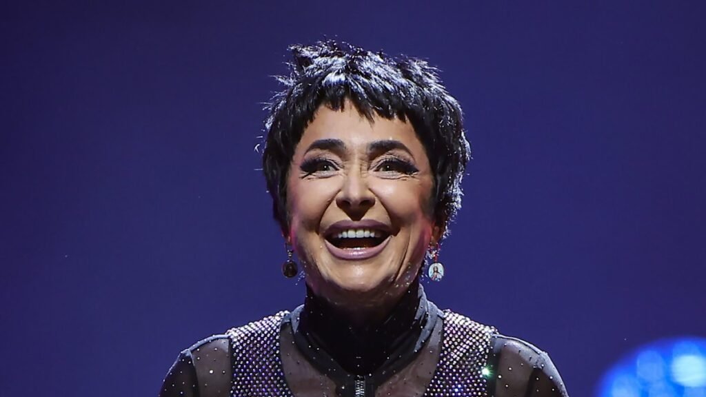 Поклонники призвали Лолиту Милявскую покинуть сцену