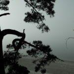 Штормовое предупреждение в Самарской области: усиление ветра и осадки