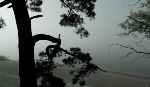 Штормовое предупреждение в Самарской области: усиление ветра и осадки