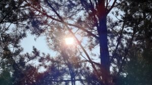 Сильный ветер и снег ожидаются в Бурятии в ближайшие дни