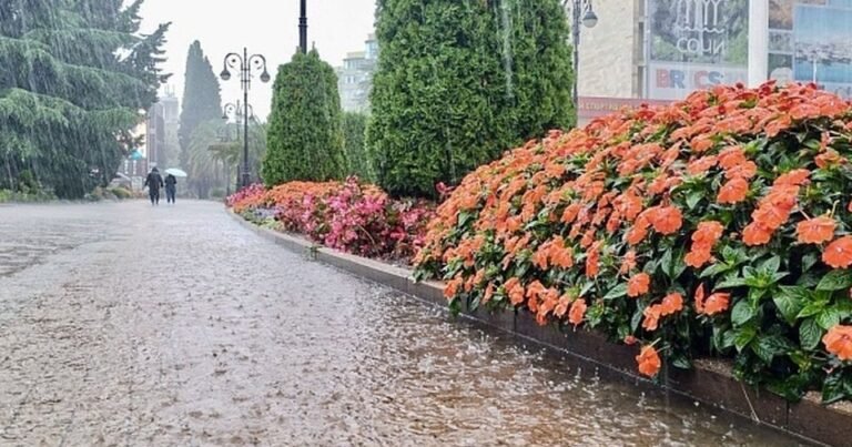 Сочи готовится к удару стихии: ливни и непогода надвигаются на курорт