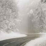 Туман в Подмосковье 1 марта: примета на дождливое лето