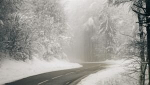 Туман в Подмосковье 1 марта: примета на дождливое лето