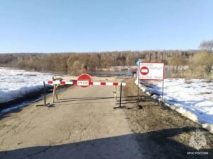Уровень воды в Рязанской области: 9 мостов затоплены из-за половодья
