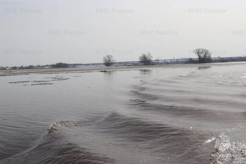 Уровень воды в Рязанской области: половодье на 27 марта 2026