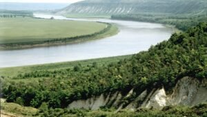 В Молдавии объявлен режим экологической тревоги из-за загрязнения Днестра