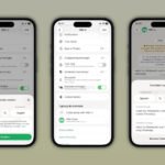 WhatsApp внедряет автоматический перевод сообщений на 21 языке