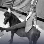 Жизнь и творчество Андрея Миронова: грани таланта