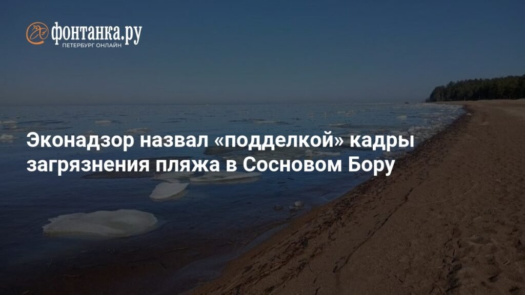 Эконадзор Ленобласти: кадры загрязнения пляжа в Сосновом Бору - подделка