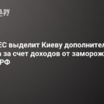 ЕС выделит Украине 80 млн евро за счет замороженных активов РФ