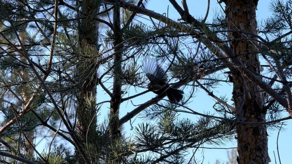 Снег и сильный ветер ожидаются в Бурятии 5 апреля