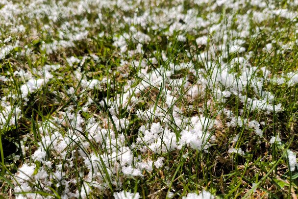 В Ленобласти начинается долгое похолодание: мокрые выходные и снег