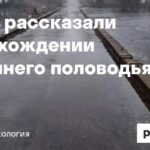 Весеннее половодье в Рязанской области: уровень воды растет