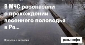 Весеннее половодье в Рязанской области: уровень воды растет